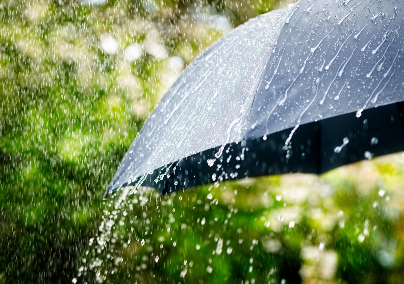 Ghana Meteorological Agency’s Seasonal Rainfall Forecast for the Major Rainy Seasons: March-April-May (MAM) And April-May-June (AMJ) for the South of Ghana, 2024